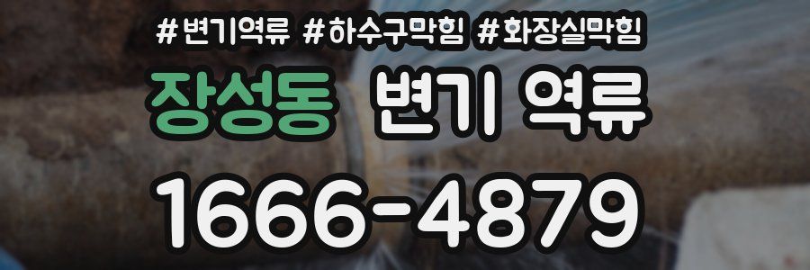장성동 변기 역류