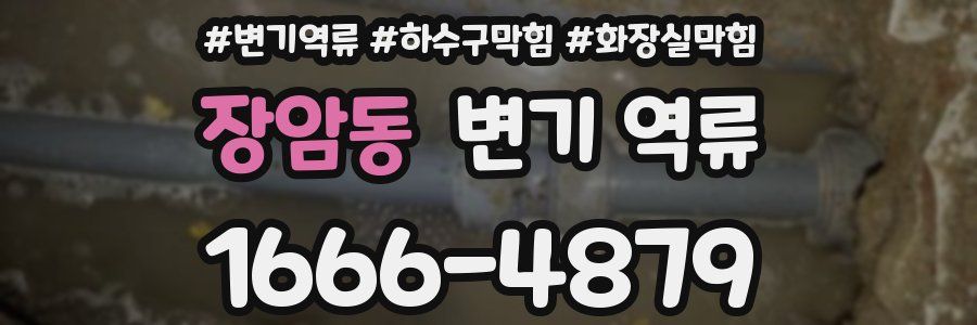 장암동 변기 역류