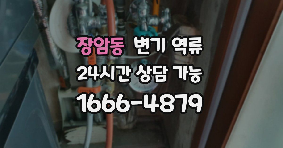 장암동 변기 역류