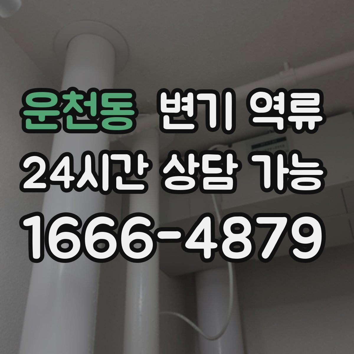 운천동 변기 역류 욕실 문턱을 넘기기 전 해야 하는 임시 조치