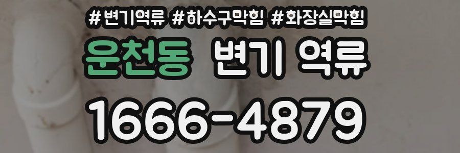 운천동 변기 역류