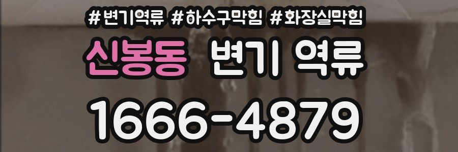 신봉동 변기 역류