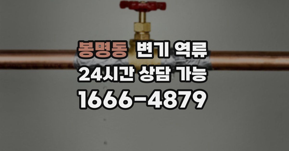 봉명동 변기 역류