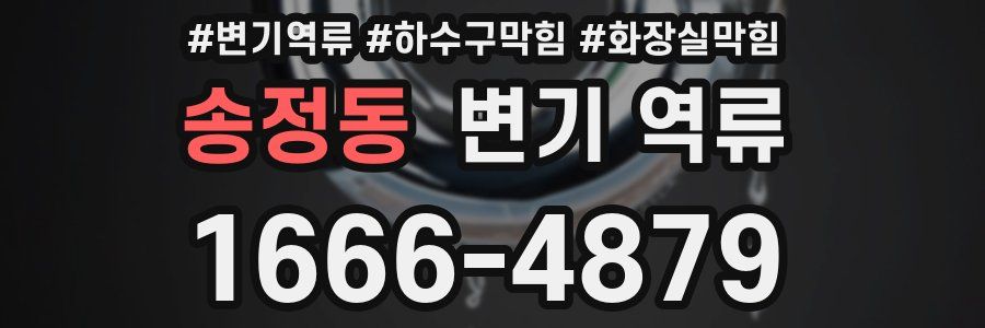 송정동 변기 역류