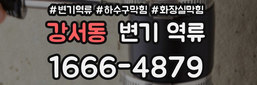 강서동 변기 역류