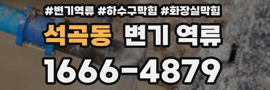 석곡동 변기 역류