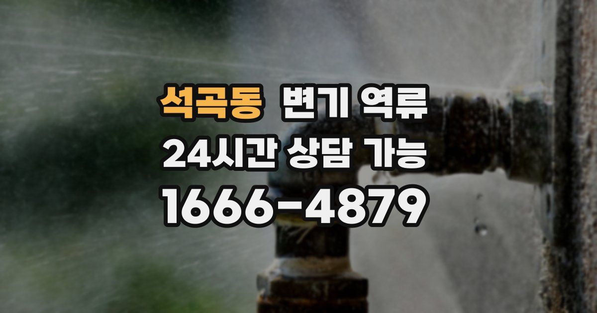 석곡동 변기 역류