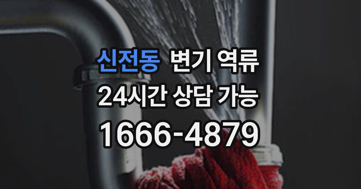 신전동 변기 역류