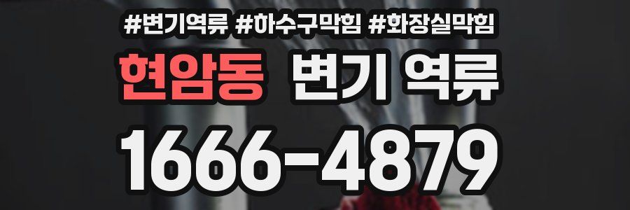 현암동 변기 역류