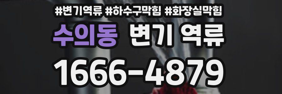 수의동 변기 역류