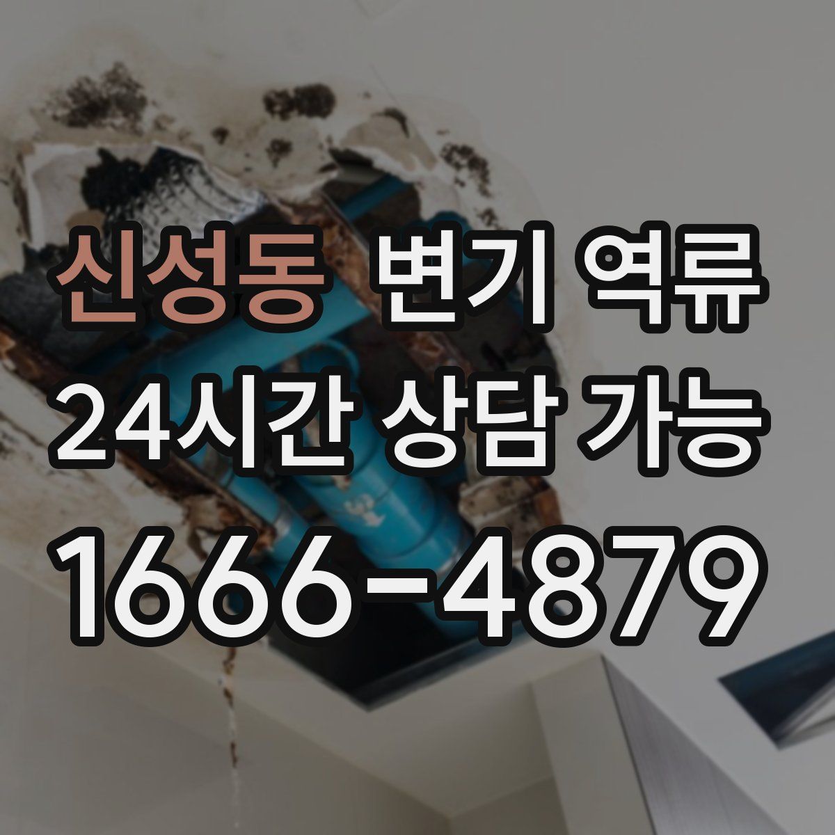 신성동 변기 역류