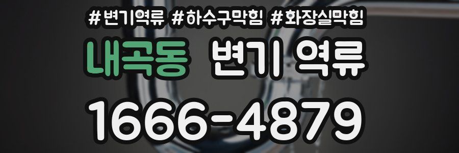 내곡동 변기 역류