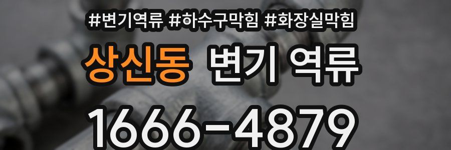 상신동 변기 역류