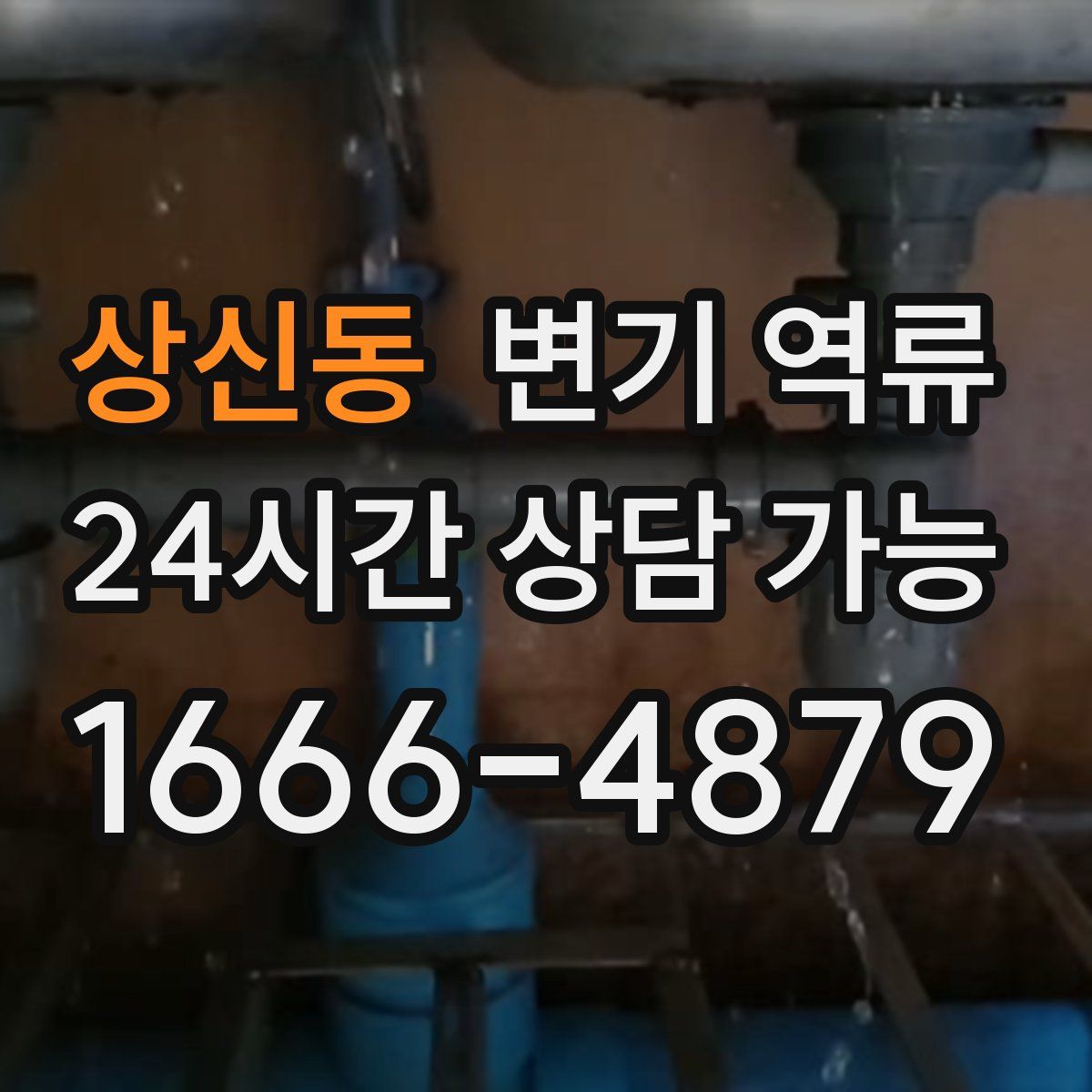 상신동 변기 역류