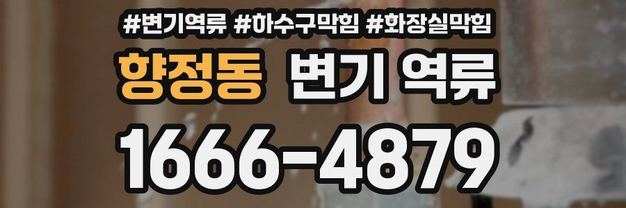 향정동 변기 역류