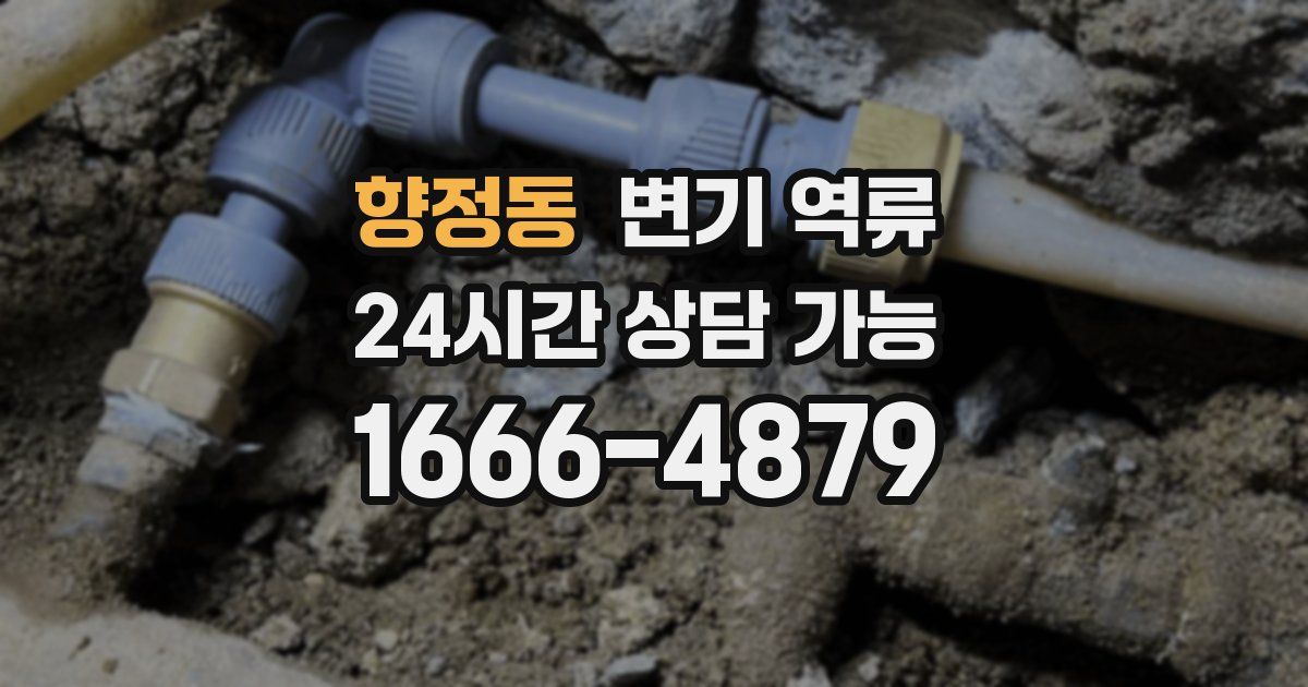 향정동 변기 역류