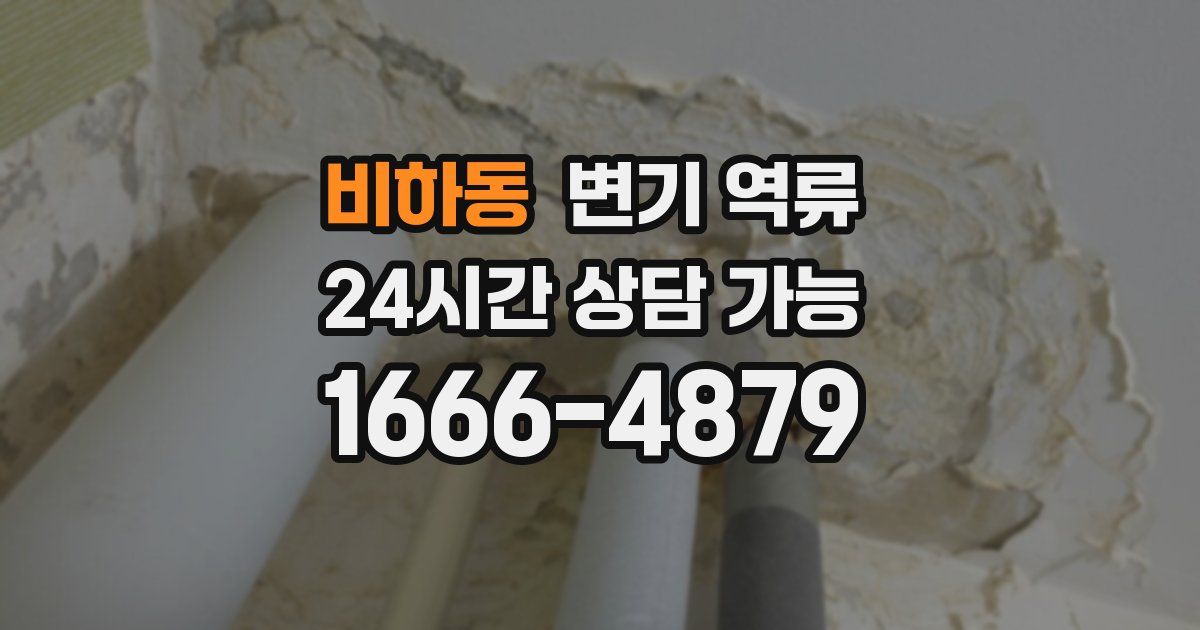 비하동 변기 역류