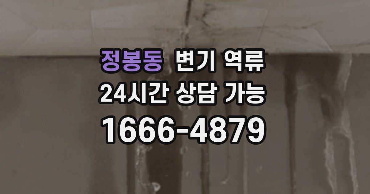 정봉동 변기 역류