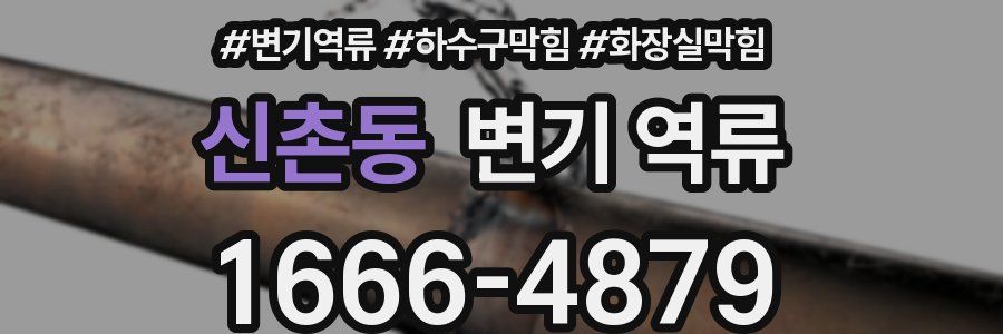 신촌동 변기 역류