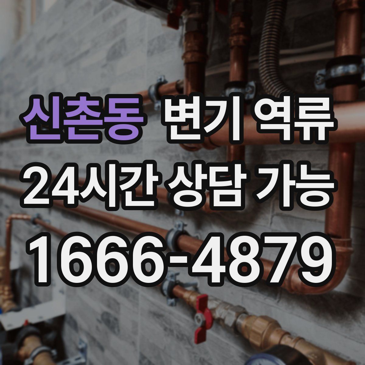 신촌동 변기 역류