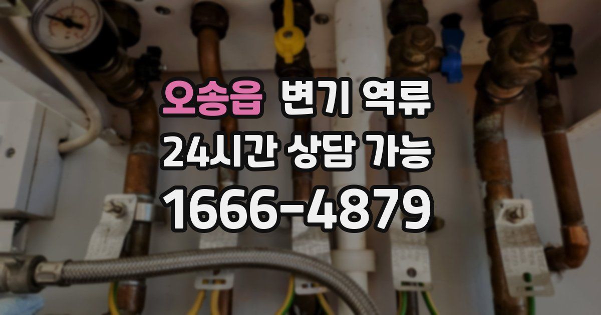 오송읍 변기 역류