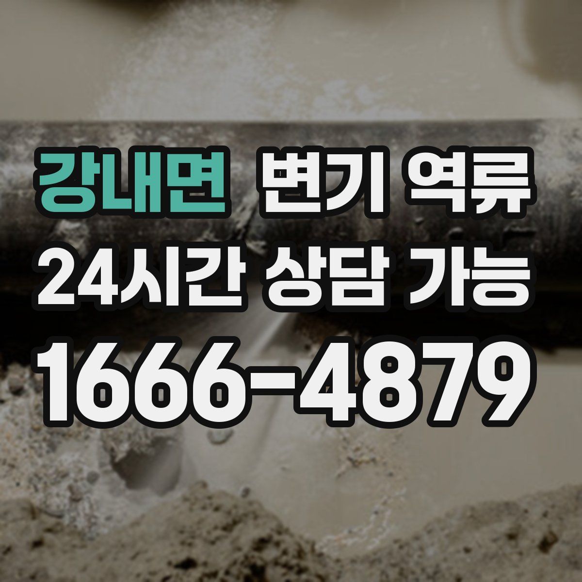 강내면 변기 역류