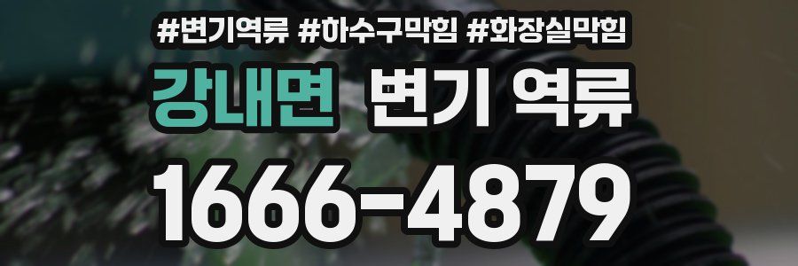 강내면 변기 역류