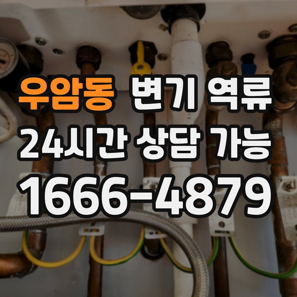 우암동 변기 역류