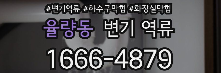 율량동 변기 역류