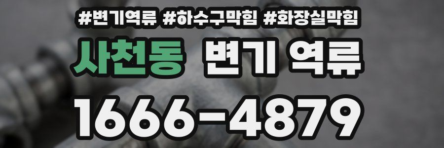 사천동 변기 역류