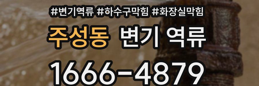 주성동 변기 역류