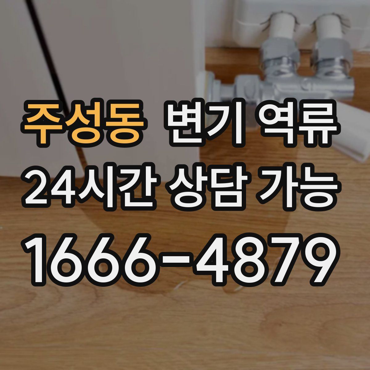 주성동 변기 역류