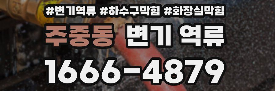 주중동 변기 역류