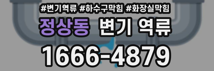 정상동 변기 역류