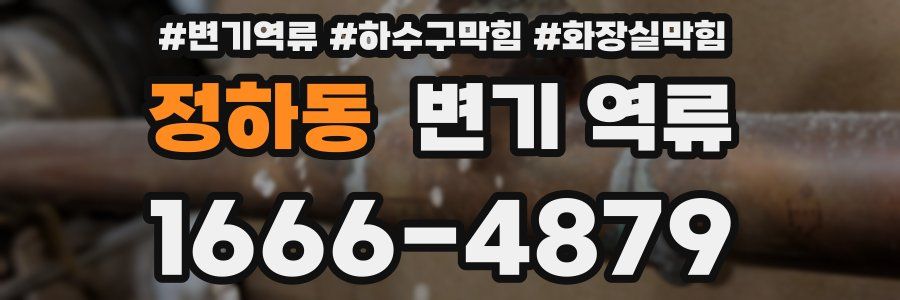 정하동 변기 역류