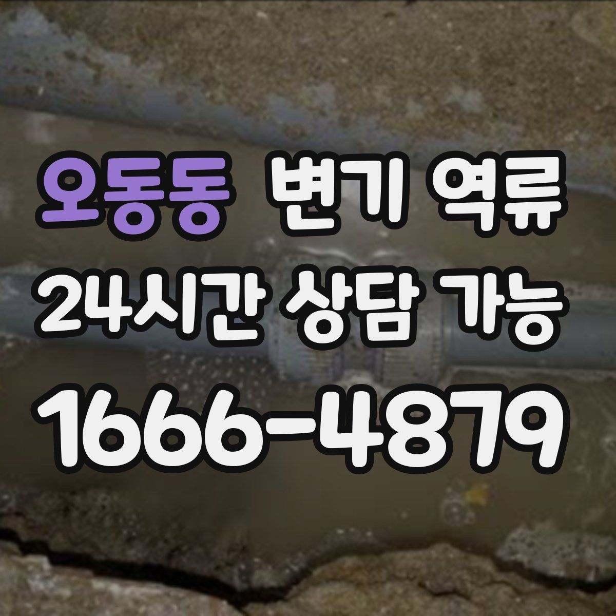 오동동 변기 역류