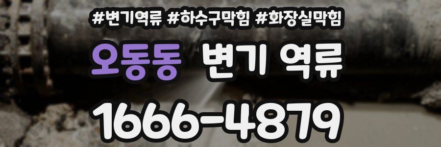 오동동 변기 역류