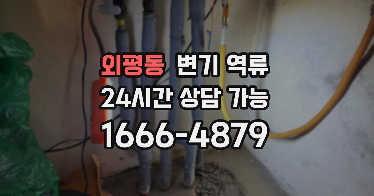 외평동 변기 역류