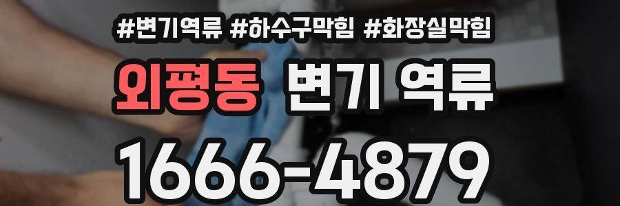 외평동 변기 역류