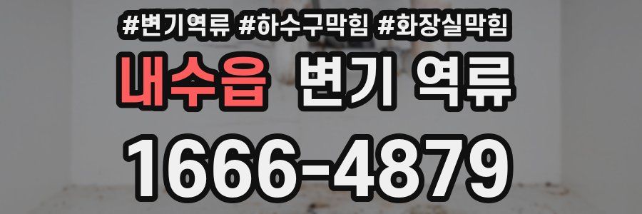 내수읍 변기 역류