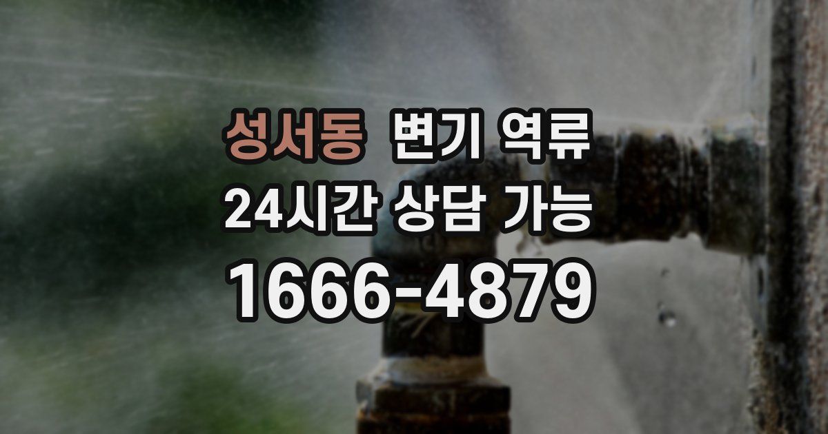 성서동 변기 역류