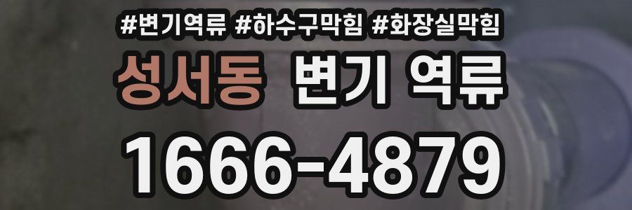 성서동 변기 역류