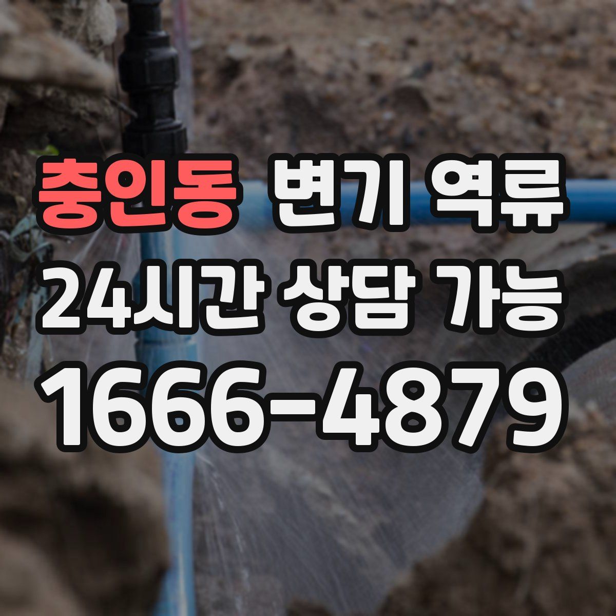 충인동 변기 역류