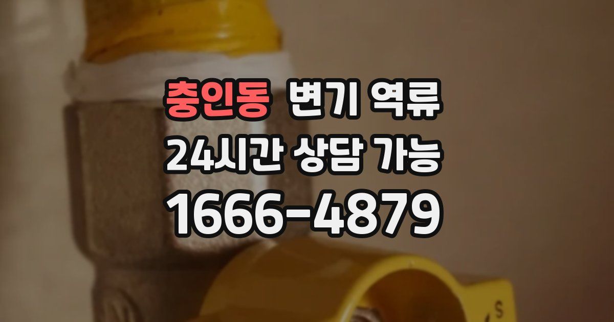 충인동 변기 역류