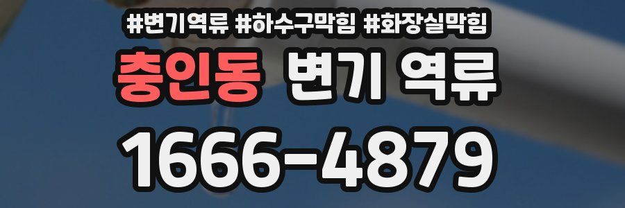 충인동 변기 역류