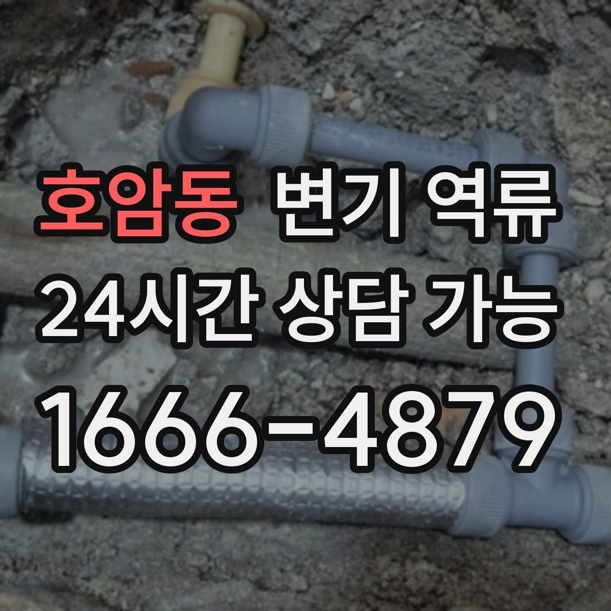 호암동 변기 역류 한 세대만 발생할 때 점검 순서