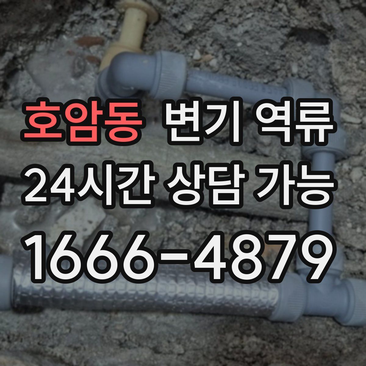 호암동 변기 역류