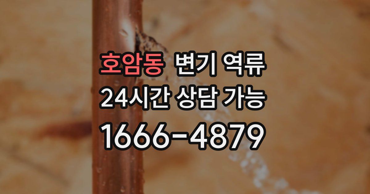 호암동 변기 역류