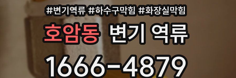 호암동 변기 역류