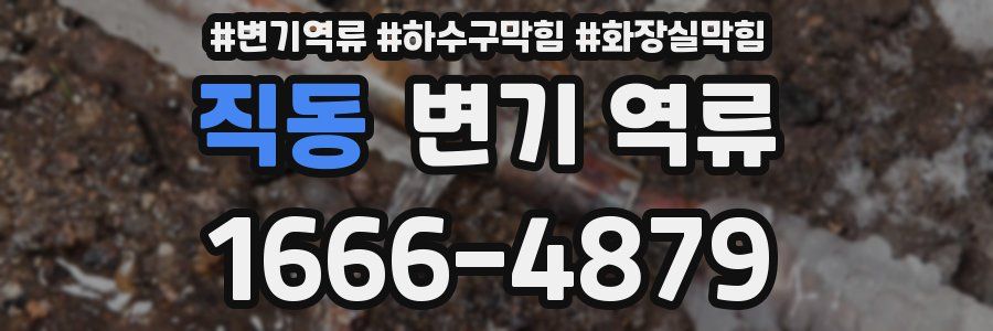 직동 변기 역류